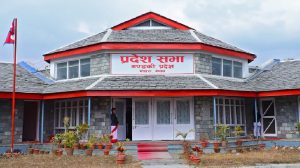 गण्डकी प्रदेशसभाबाट जनस्वास्थ्य विधेयक पारित