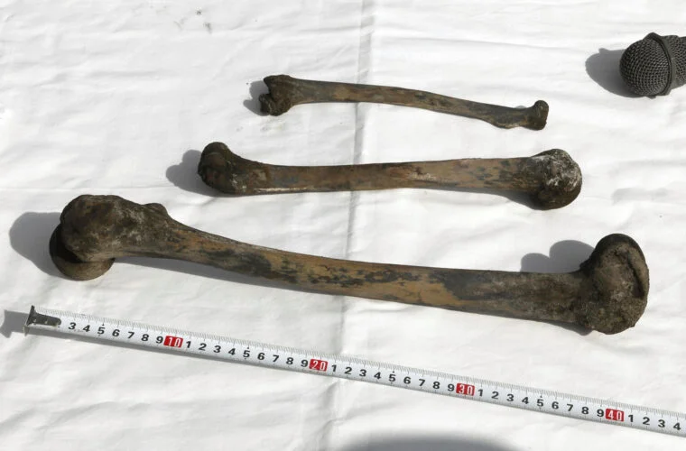 जापानको युद्धकालीन खानीमा मानव अवशेष भएको पुष्टि