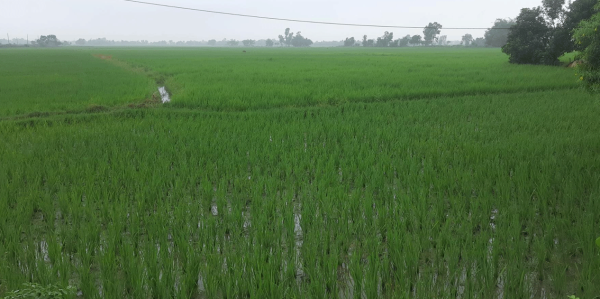 ‘नेपालमा ३० करोड जनतालाई पुग्ने अन्न उत्पादन सम्भव छ’