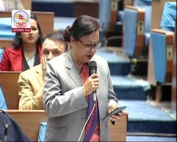 राज्य व्यवस्था समितिको सभापतिमा न्यौपाने सर्वसम्मत