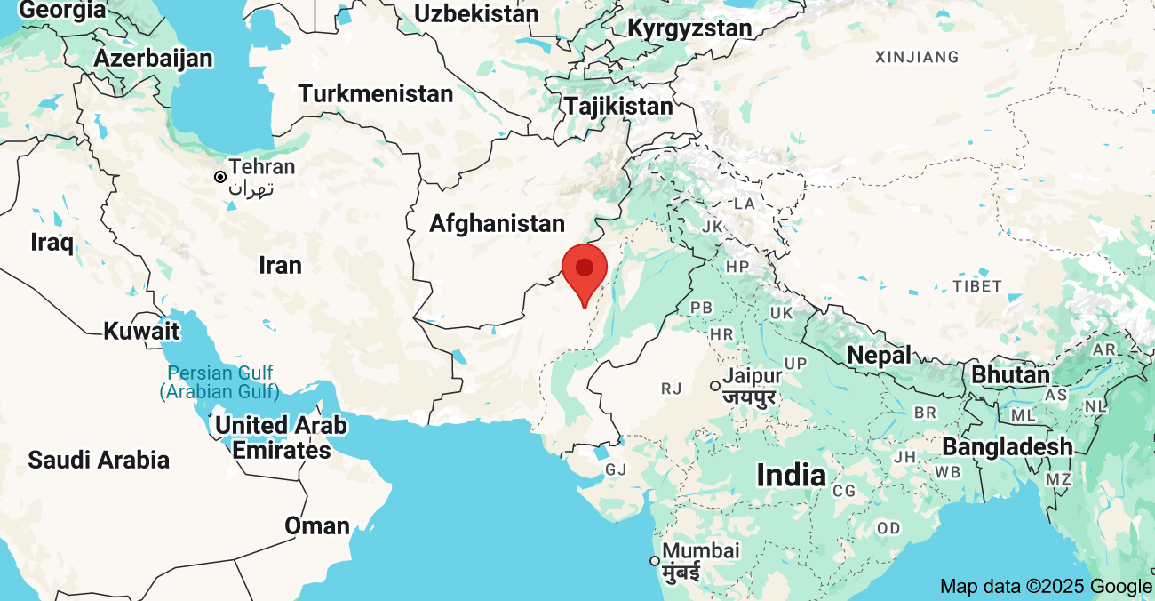 पाकिस्तानमा कार र ट्रेलर ठोक्किँदा एउटै परिवारका ६ जनाको