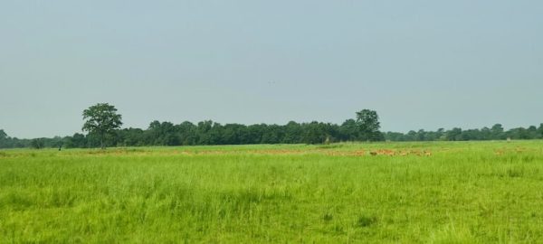 प्रचारप्रसारको अभावमा शुक्लाफाँटा राष्ट्रिय निकुञ्ज ओझेलमा