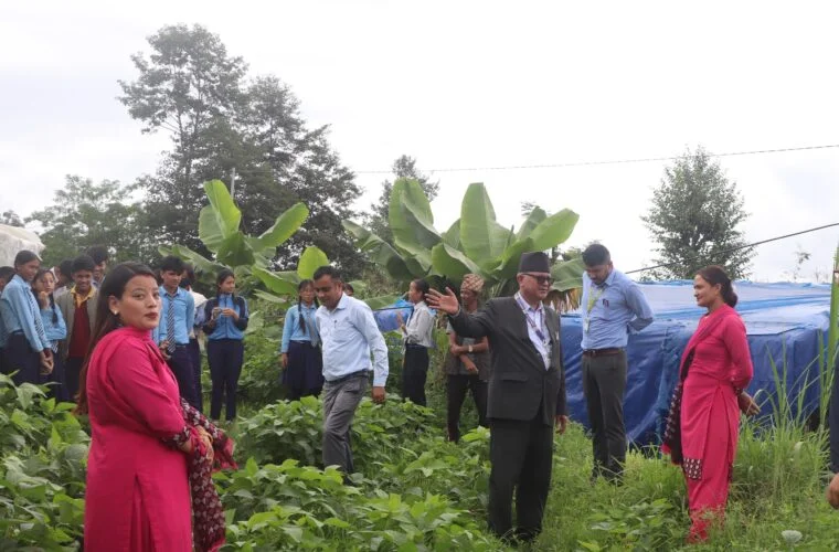 पढ्दै–कमाउँदै कार्यक्रम हटेसँगै सामुदायिक विद्यालय समस्यामा