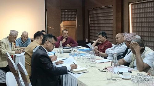 कांग्रेसको संविधान संशोधन सुझाव समितिले थाल्यो काम