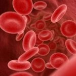 कञ्चनपुरको लालझाँडीका दुई सय २३ जनामा ‘सिकलसेल एनिमिया’  