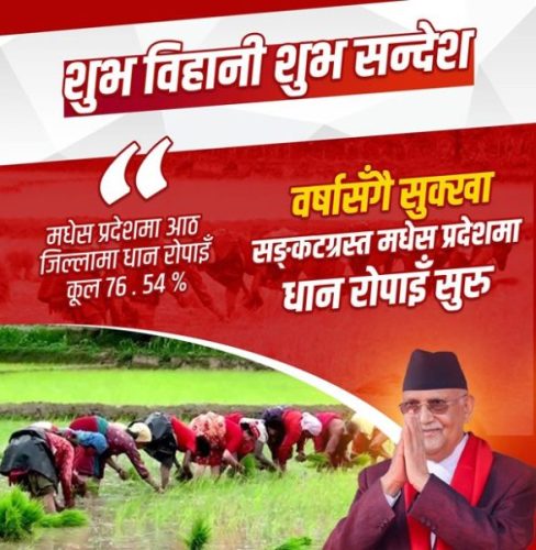 सरकारले तराईमा सिँचाइको स्थायी समाधान खोज्ने