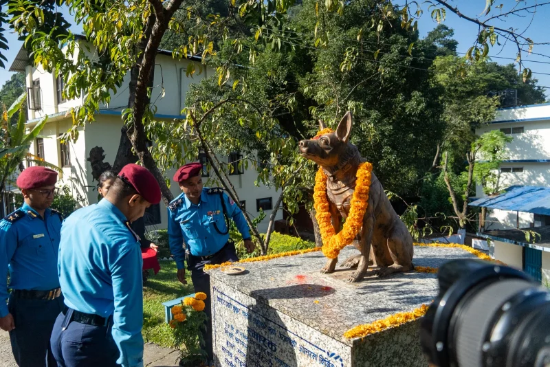 कुकुर तिहारको अवसरमा नेपाल प्रहरीद्वारा कुकुरहरूको विशेष पूजा