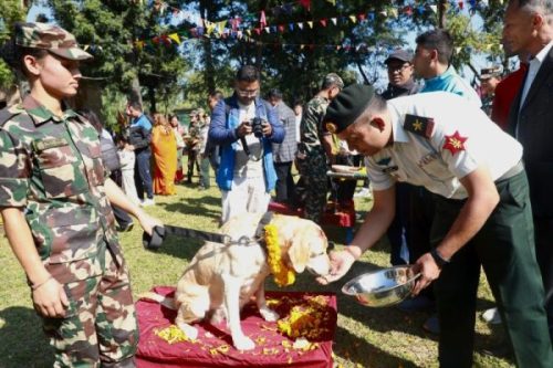 सेनाको भैरव बाहन गुल्ममा कुकुर पुजा