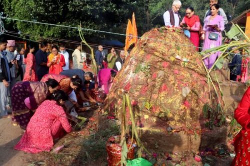 स्थानीय गाईको संरक्षण गर्दै वागीश्वरीमा गौ तथा गोवर्द्धन पूजा