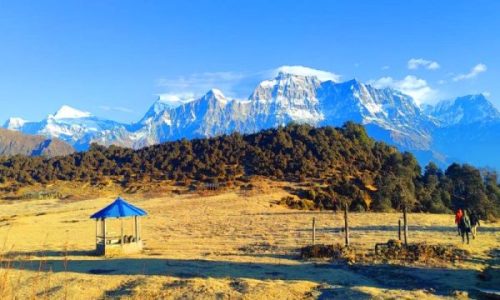 लामो वर्षा र  सवारी नचल्दा जलजला पुग्न पाएनन् पर्यटक