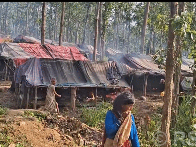 रातको समयमा हाम्रो बस्तीलाई सुरक्षा चाहियो : राउटे समुदायका युवा