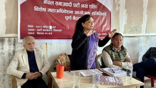 नेसपा बैठकमा पार्टी एकताबारे छलफल