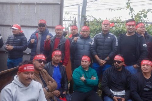 नेकपा एमालेको युथ भोलेन्टियर फोर्स घोषणा(फोटोफिचर)