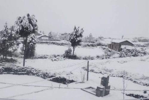 बैतडी र बागलुङमा भारी हिमपात