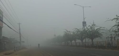 बाक्लो हुस्सु र कुहिरोले पश्चिम तराईको जनजीवन प्रभावित