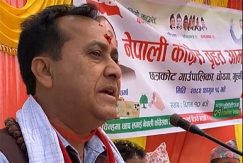 देश सम्हाल्ने तागत कांग्रेससँग मात्रै छः उपसभापति  शर्मा