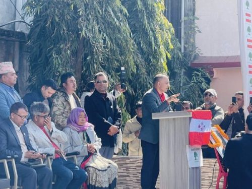 उत्तेजना फैलाउनेभन्दा पनि धैर्यपूर्वक देशलाई निकास दिने शक्तिको रूपमा कांग्रेसले भूमिका  खेल्नुपर्छः सभापति थापा