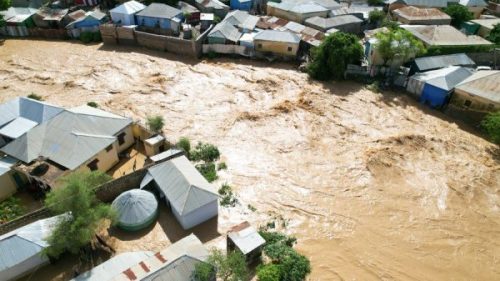 इथियोपियामा बाढीका कारण ४८ जनाको मृत्यु