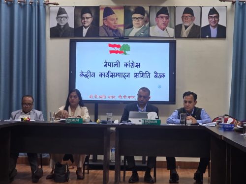 संवैधानिक परिषद्सम्बन्धी अध्यादेश अविलम्ब फिर्ता लिन सरकारलाई कांग्रेसको आग्रह