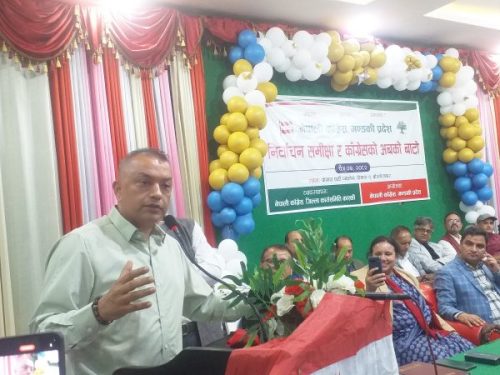 पार्टीमा एकता र अनुशासनको खाँचो छः सभापति थापा