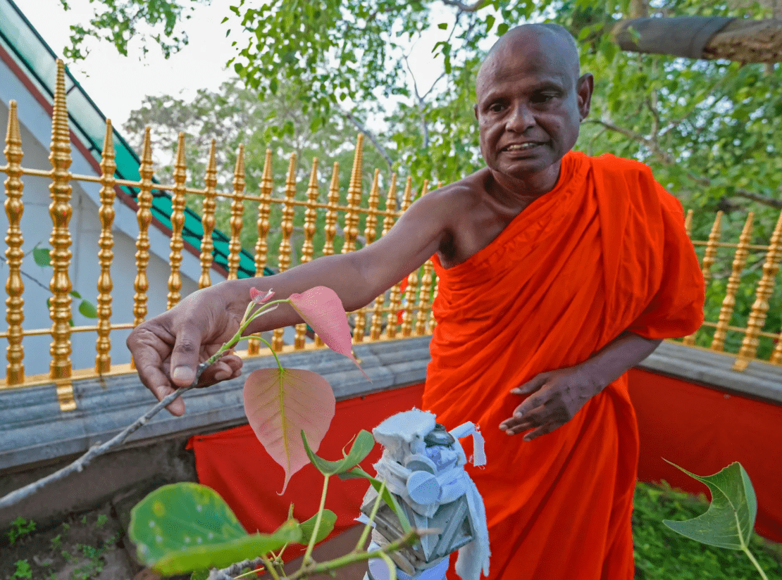 बाल यौन दुव्र्यवहारको आरोपमा श्रीलङ्काका बौद्ध भिक्षु निलम्बित