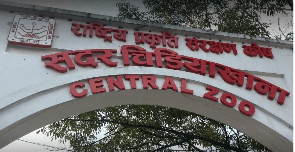 बर्डफ्लुका कारण जावलाखेल चिडियाखानालाई तीन करोड घाटा