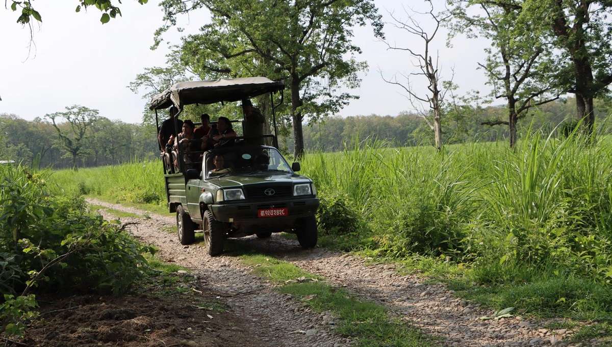 चितवन राष्ट्रिय निकुञ्जमा व्यावसायिक सफारी सेवा बन्द