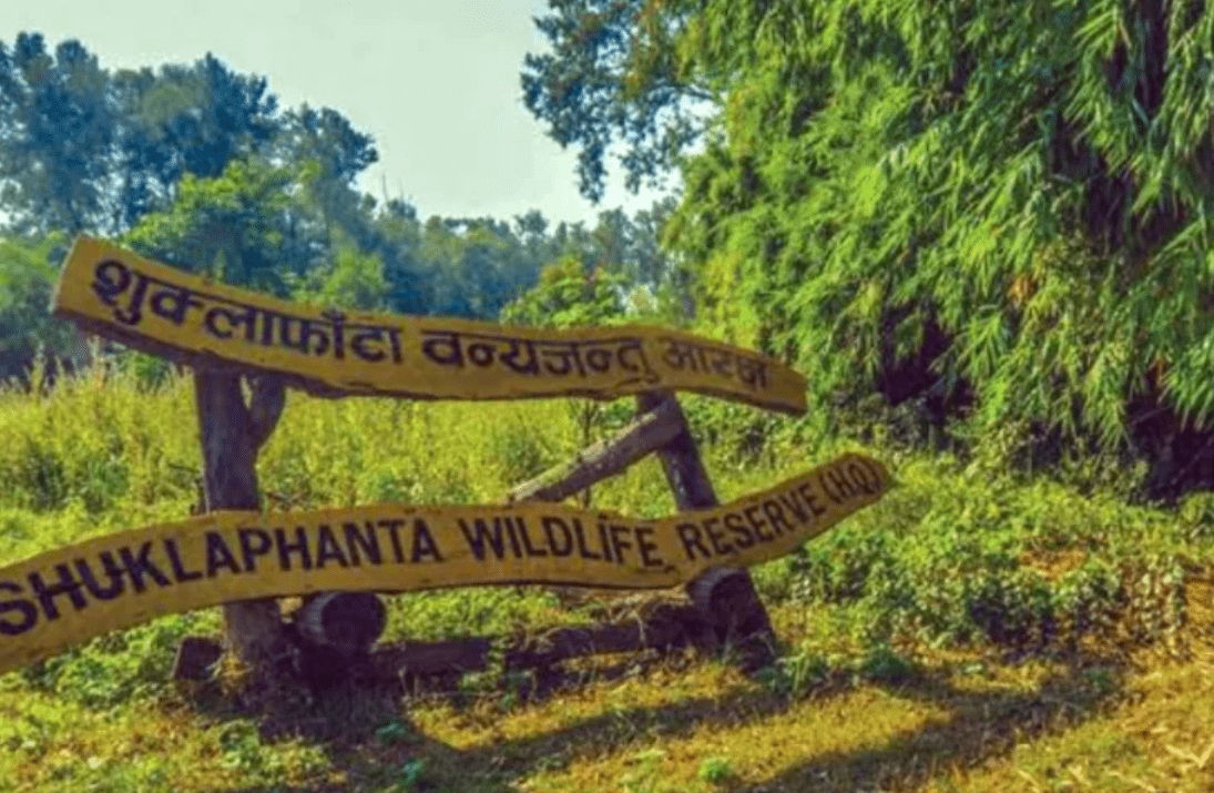 शुक्लाफाँटा राष्ट्रिय निकुञ्जभित्र च्याउ टिप्न जाँदा बेपत्ता भएका सबै महिला सम्पर्कमा