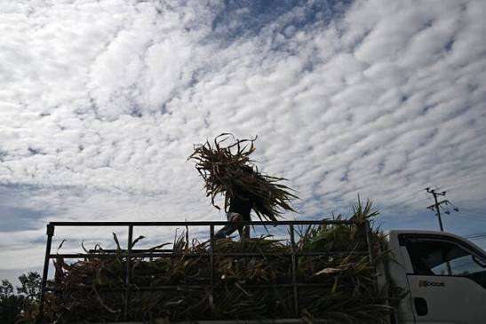 इक्वेडरमा एल निनोका कारण आपतकाल घोषणा