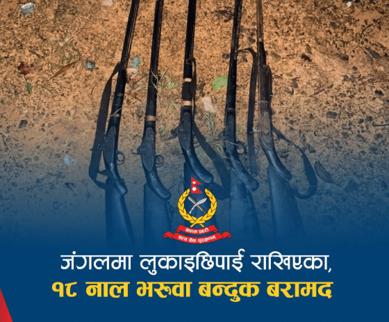 सुर्खेतमा जंगलभित्र लुकाइएका १८ नाल भरुवा बन्दुक फेला
